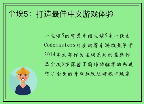尘埃5：打造最佳中文游戏体验